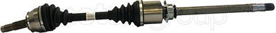 Drive Shaft CIFAM 655-923