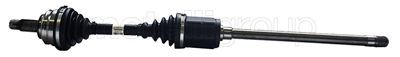 Drive Shaft CIFAM 655-925