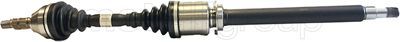 Drive Shaft CIFAM 655-927