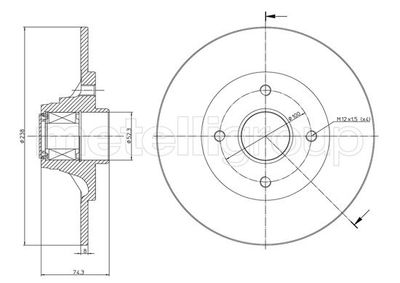 Brake Disc CIFAM 800-198