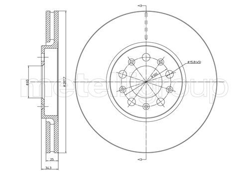 CIFAM 800-365C Brake Disc