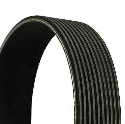 CONTINENTAL CTAM 10PK1745 V-Ribbed Belt