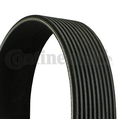 CONTINENTAL CTAM 10PK2001 V-Ribbed Belt