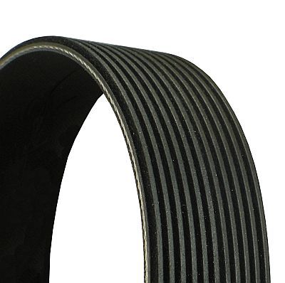 CONTINENTAL CTAM 11PK1515 V-Ribbed Belt