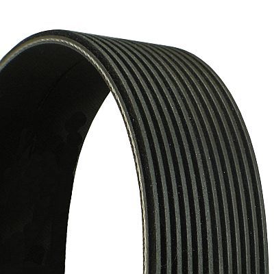 CONTINENTAL CTAM 12PK1165 V-Ribbed Belt