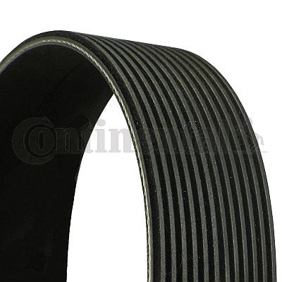 CONTINENTAL CTAM 12PK1611 V-Ribbed Belt