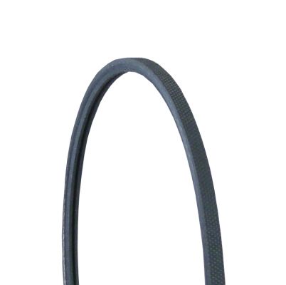 CONTINENTAL CTAM 2PJ800 V-Ribbed Belt