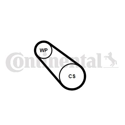 CONTINENTAL CTAM 3PK576 ELAST WP1 Water Pump + V-Ribbed Belt Kit