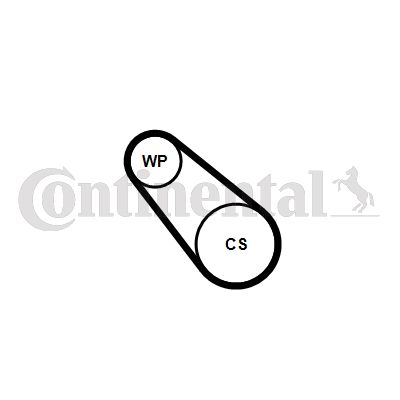 Water Pump + V-Ribbed Belt Kit CONTINENTAL CTAM 3PK576 ELAST WP2