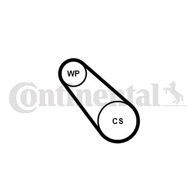 Water Pump + V-Ribbed Belt Kit CONTINENTAL CTAM 3PK725 ELAST WP1
