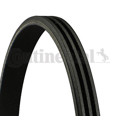 CONTINENTAL CTAM 3PK798 ELAST V-Ribbed Belt