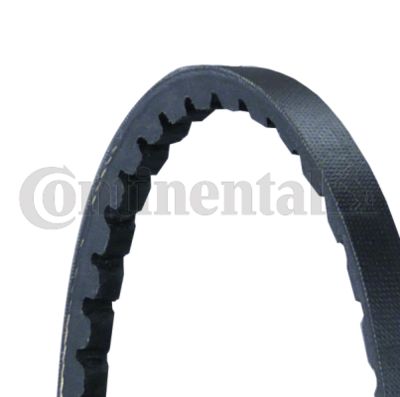 V-Belt Set CONTINENTAL CTAM 3XAVX10X1650