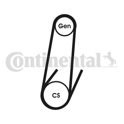 CONTINENTAL CTAM 4PK611 ELAST V-Ribbed Belt