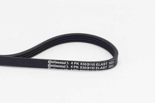 CONTINENTAL CTAM 4PK830 ELAST V-Ribbed Belt