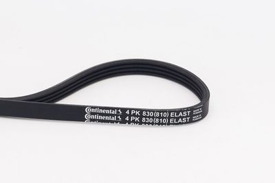 V-Ribbed Belt CONTINENTAL CTAM 4PK830 ELAST