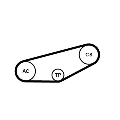 CONTINENTAL CTAM 4PK855K1 V-Ribbed Belt Set