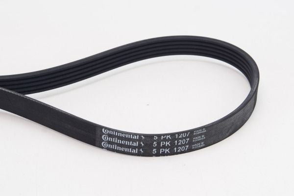 CONTINENTAL CTAM 5PK1207 V-Ribbed Belt