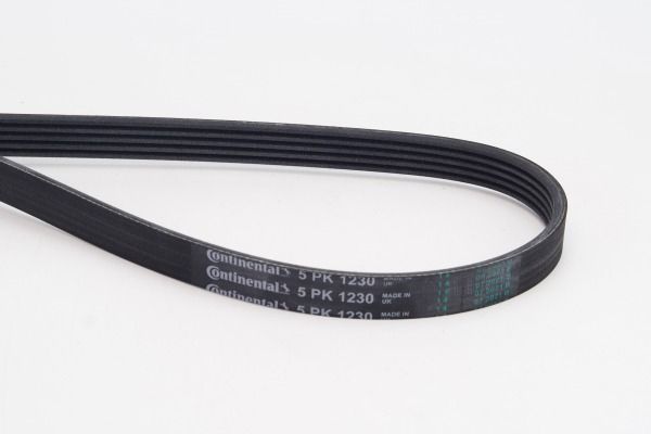 CONTINENTAL CTAM 5PK1230 V-Ribbed Belt