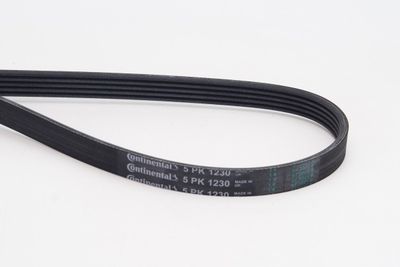 V-Ribbed Belt CONTINENTAL CTAM 5PK1230