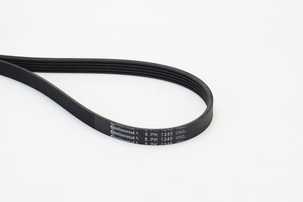 CONTINENTAL CTAM 5PK1245 V-Ribbed Belt