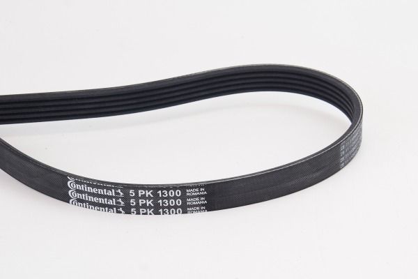 CONTINENTAL CTAM 5PK1300 V-Ribbed Belt
