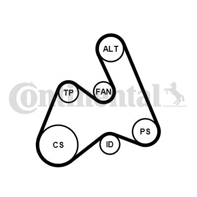 Water Pump + V-Ribbed Belt Kit CONTINENTAL CTAM 5PK1592WP1