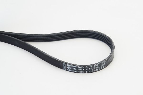 CONTINENTAL CTAM 5PK1680 V-Ribbed Belt