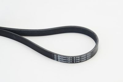 V-Ribbed Belt CONTINENTAL CTAM 5PK1680