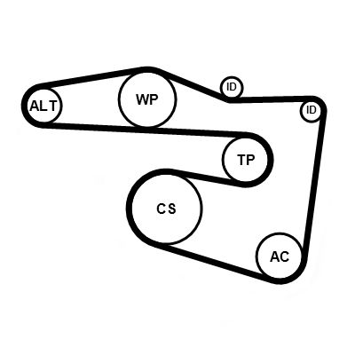 CONTINENTAL CTAM 5PK1815K2 V-ribbed Belt Set