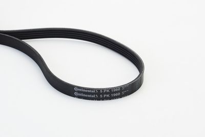 V-Ribbed Belt CONTINENTAL CTAM 5PK1960