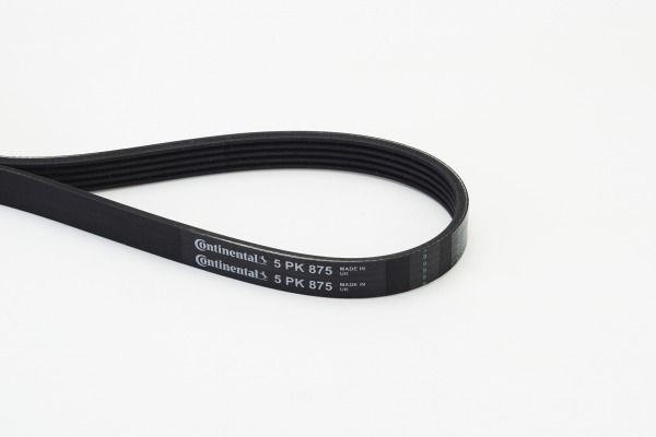 CONTINENTAL CTAM 5PK875 V-Ribbed Belt