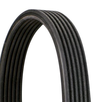 CONTINENTAL CTAM 6DPK1100 V-Ribbed Belt