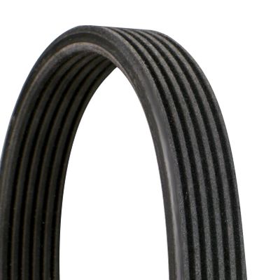 V-Ribbed Belt CONTINENTAL CTAM 6DPK1100