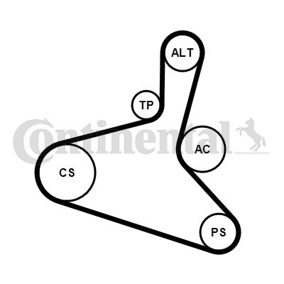 CONTINENTAL CTAM 6DPK1195K2 V-Ribbed Belt Set