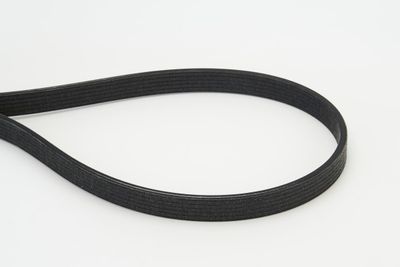V-Ribbed Belt CONTINENTAL CTAM 6DPK1817