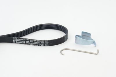 V-ribbed Belt Set CONTINENTAL CTAM 6PK1029 ELAST T1