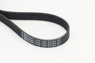 V-Ribbed Belt CONTINENTAL CTAM 6PK1034 EXTRA