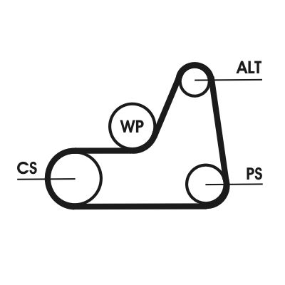 CONTINENTAL CTAM 6PK1042 ELAST T1 V-Ribbed Belt Set