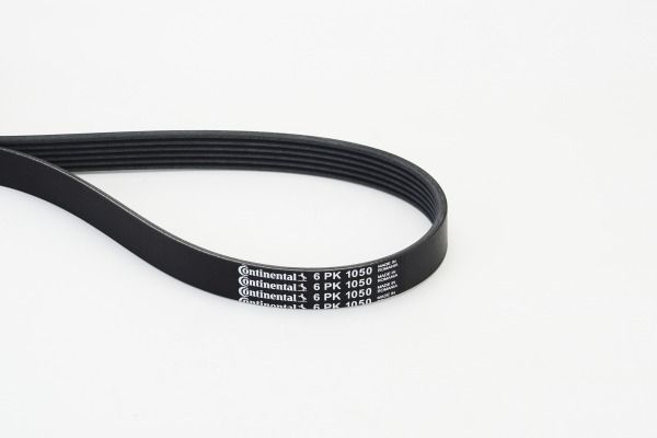 CONTINENTAL CTAM 6PK1050 V-Ribbed Belt