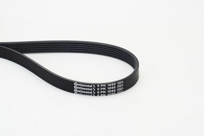 V-Ribbed Belt CONTINENTAL CTAM 6PK1050