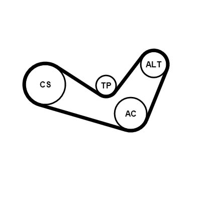 CONTINENTAL CTAM 6PK1050K4 V-Ribbed Belt Set