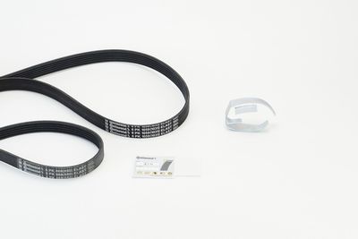V-Ribbed Belt Set CONTINENTAL CTAM 6PK1059 ELAST T2