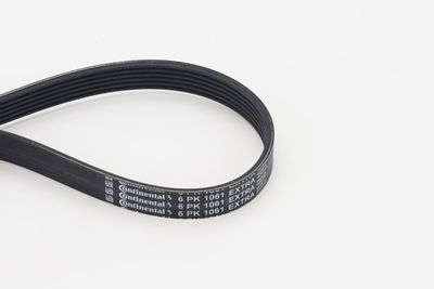 V-Ribbed Belt CONTINENTAL CTAM 6PK1061 EXTRA
