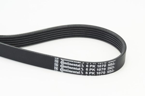 CONTINENTAL CTAM 6PK1070 V-Ribbed Belt