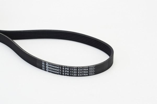 CONTINENTAL CTAM 6PK1120 EXTRA V-Ribbed Belt