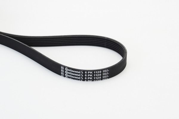CONTINENTAL CTAM 6PK1120 V-Ribbed Belt