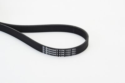 V-Ribbed Belt CONTINENTAL CTAM 6PK1120