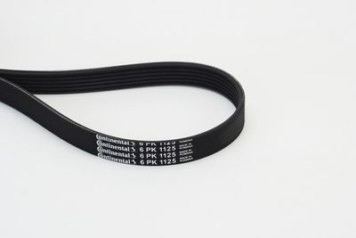 V-Ribbed Belt CONTINENTAL CTAM 6PK1125