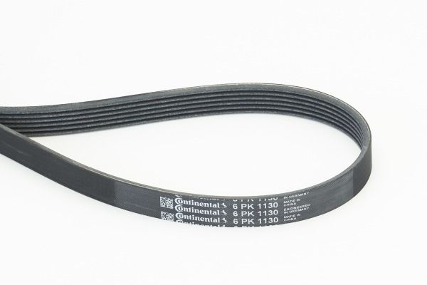 CONTINENTAL CTAM 6PK1130 V-Ribbed Belt