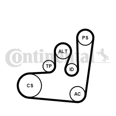 Water Pump + V-Ribbed Belt Kit CONTINENTAL CTAM 6PK1145WP1
